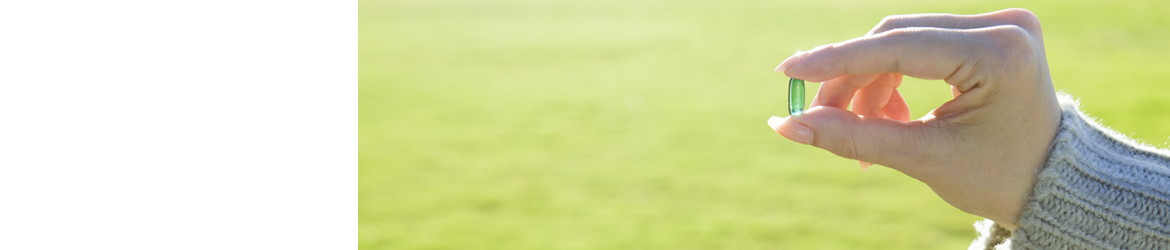 商品ラインナップ